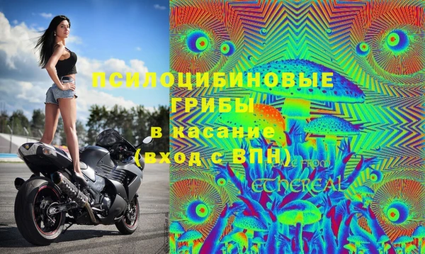 соль ск Навашино