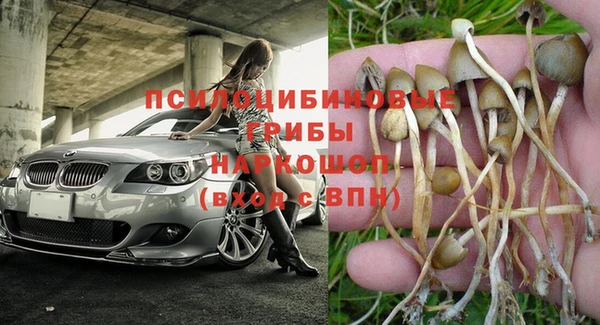 PSILOCYBIN Михайловск