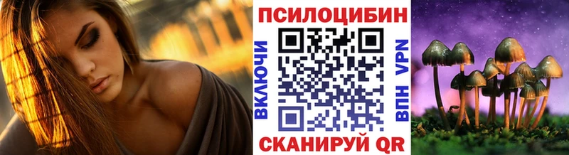 наркошоп  Сурск  Псилоцибиновые грибы мицелий 